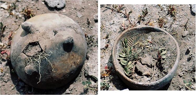 Meksika'daki 60 Metrelik Akrep Şeklindeki Antik Höyük Bir Gündönümü Gözlemevi Olabilir