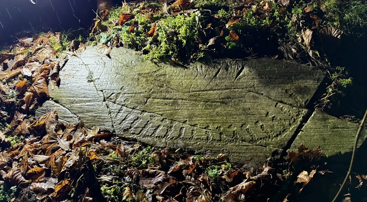 Yosunların Altındaki Gizem: Norveç'te 3.000 Yıllık Kaya Oymaları Keşfedildi