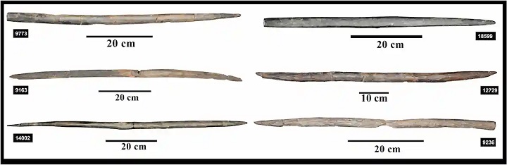 İtalya'daki La Marmotta'nın 7.500 yıllık yayları, erken dönem çiftçilerinin Akdeniz karma ormanlarından silahlar ürettiğini gösteriyor.