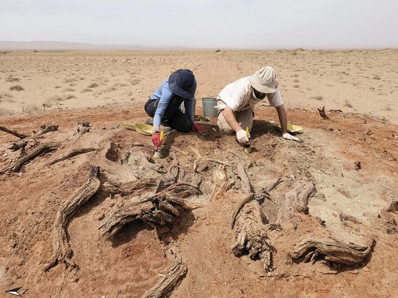 Gobi Duvarı: Moğolistan'ın Kumlarında Gizli Antik Devlet Yönetimi