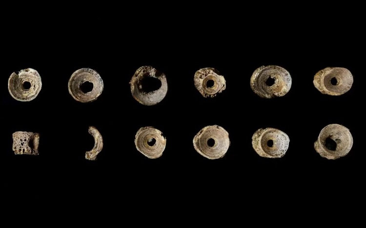 İngiltere’nin kutsal adasında bulunan somon omurlarından yapılmış en eski tespih