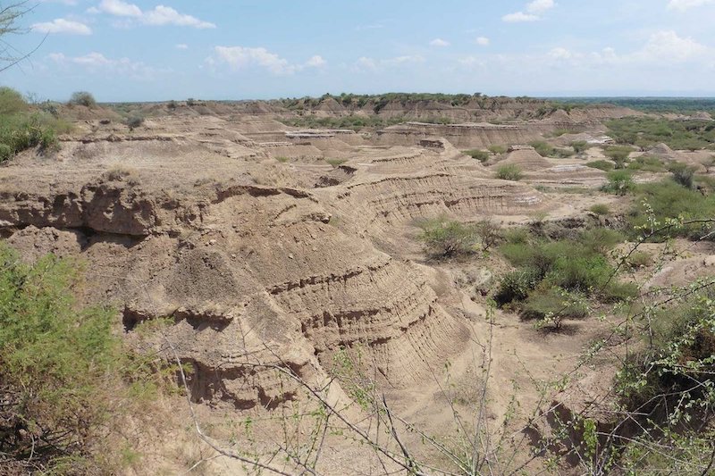 Doğu Afrika’daki Modern İnsan Kalıntıları 230.000 Yıllık Çıktı