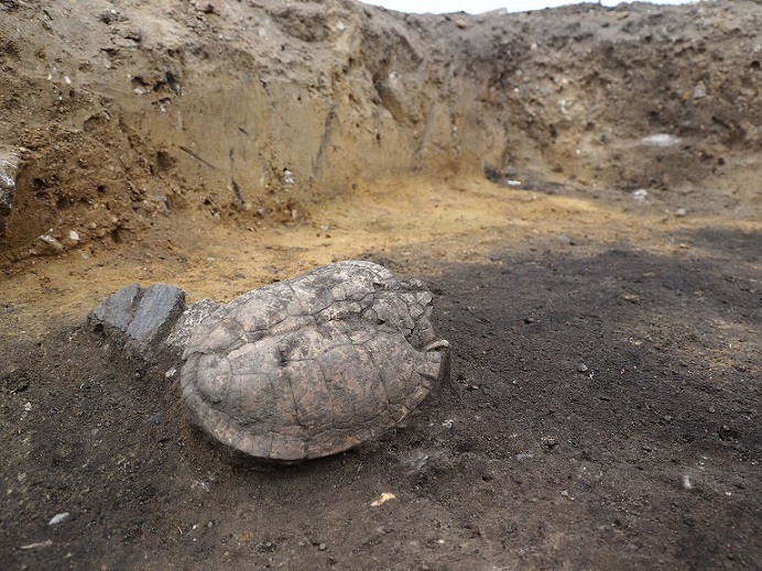 Yeni Stadyum İnşaatı Öncesinde 3000 Yıllık Tunç Çağı Yerleşimi Ortaya Çıkarıldı