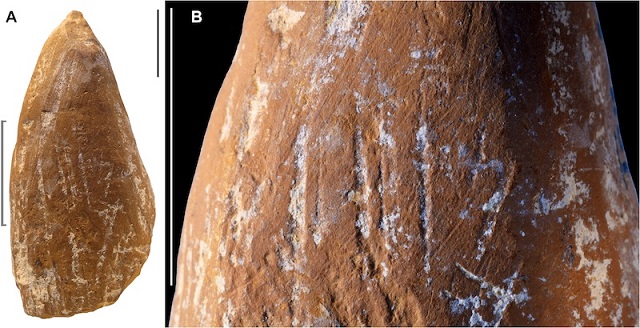 Kırım’da Neandertallere Ait ‘Boyama’ Aletleri Bulundu