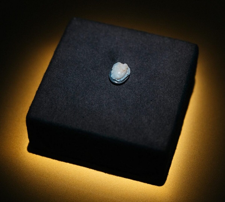 Hallstatt'ta 1.900 Yıllık Medusa Kameo'su Bulundu: Alpler'deki Avusturya'nın En Önemli Roma Dönemi Buluntularından Biri