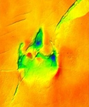 Sakat Dinozor, Arkasında Sıradışı Bir Ayak İzi Bırakmış