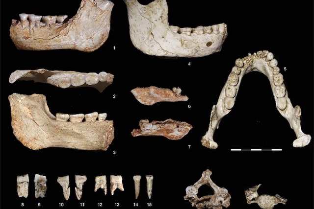 Neandertaller ile Olası Son Ortak Atamız Fas’ta Bulundu