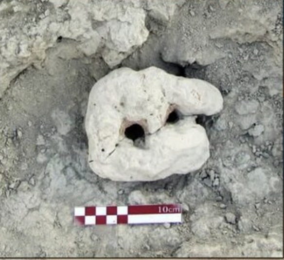 Arkeologlar İran'ın Makran Kıyısında Tarih Öncesi Balıkçılık Kanıtlarını Ortaya Çıkardı