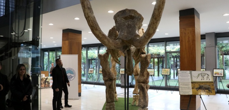 Kayseri Büyükşehir Belediyesi Fuaye Alanı'nda fosiller sergisi açıldı
