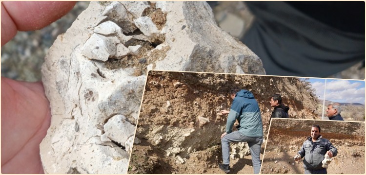 Niğdeli köylü bulduğu taşı dinozor fosili sandı, enformatik cehaleti göz önüne serdi!