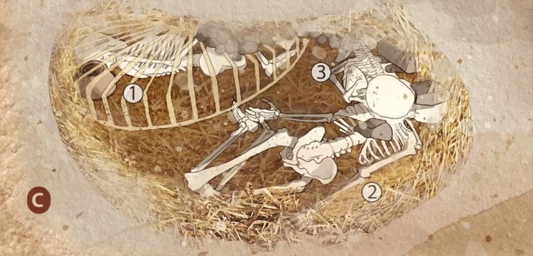 Arkeolojik bulgulara göre Avrupa'da pek çok insan diri diri gömülmüş