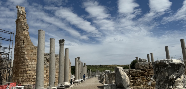 Perge Antik Kenti'ndeki taşlar üzerinde 20 ayrı türe ait yaprak fosilleri bulundu