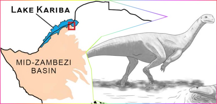Afrika'da Musankwa Sanyatiensis adı verilen yeni bir dinozor türü bulundu