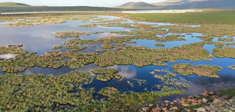 Kuraklık, Tarım ve Su Politikaları Kıskacında Sulak Alanlar