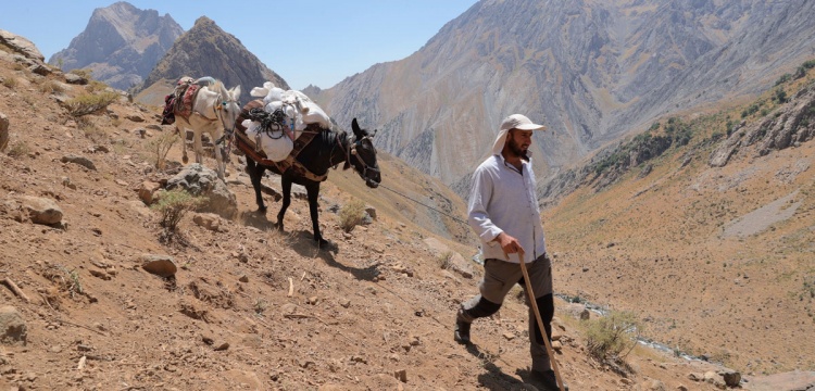Hakkari'de Katırlar Dağcıların Hizmetine Koşuyor