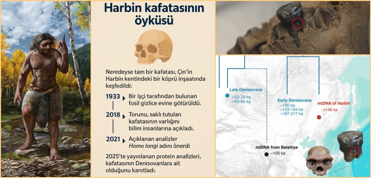Altay İnsanının gizemi çözülüyor: Denisovan soyu insana Neandertal'den daha yakın