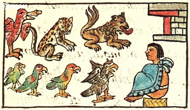 Aztek Kralı Moctezuma’nın Kendi ‘Hayvanat Bahçesi’ Vardı