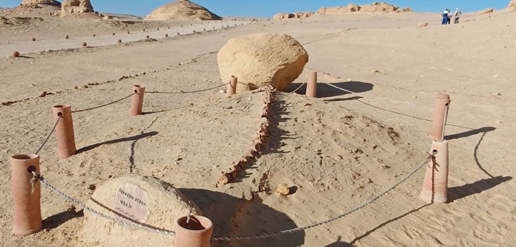 Mısır’ın Balina Vadisi: Fosillerin İzinde 37,5 Milyon Yıllık Evrimsel Yolculuk