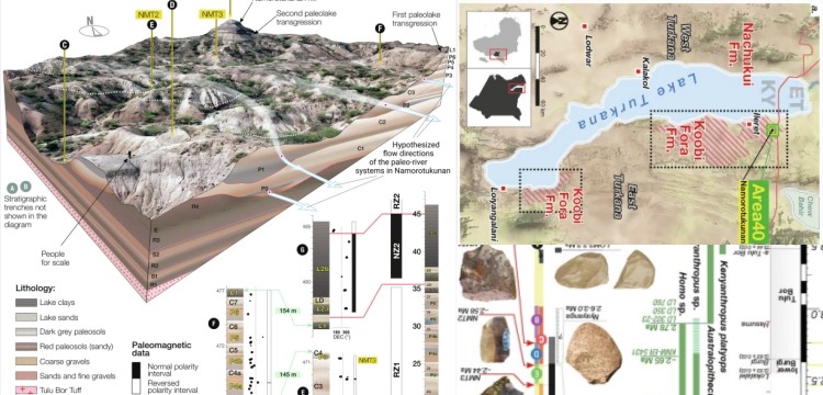 Taş aletler, Turkana Havzası’nda ilk insanımsı türlerin iklimle mücadelesini gösteriyor