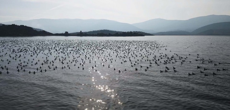 Bafa Gölü’nde Su Seviyesi Yükseliyor, Doğal Yaşam Geri Dönüyor