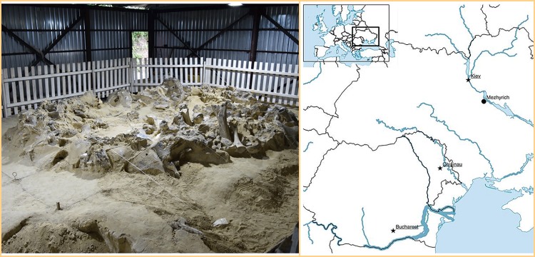 Sıra dışı Buzul Çağı Mimarisi: İnsanlar konut sorununu mamut kemikleri ile çözmüş!