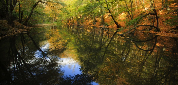 İstanbul’da Korunan Alanlara Rekor İlgi: 2025’te Yaklaşık 4 Milyon Ziyaretçi