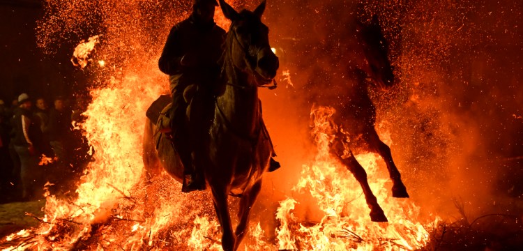 İspanya'da Las Luminarias festivalinde atlar 300 yıldır ateş üzerinden atlıyor