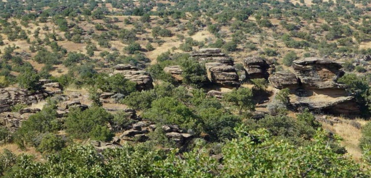 Uşak Eşme Kaya Petroglifleri 1. Derece Arkeolojik Sit Olarak Tescillendi
