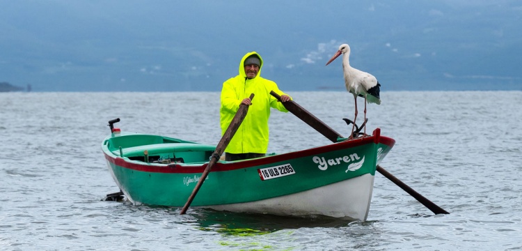 Bursa Uluabat Gölü’nde Dostluk Hikâyesi Devam Ediyor: Yaren Leyleğin 15. Dönüşü
