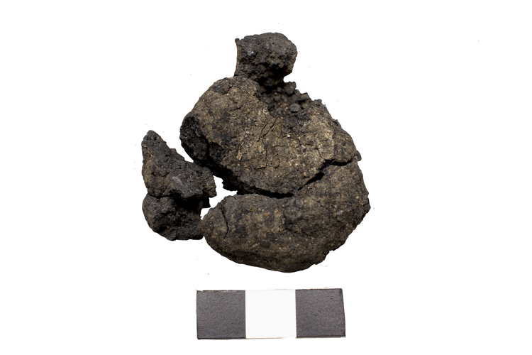 Çatalhöyük kazılarında 8 bin 600 yıllık dünyanın en eski ekmeği keşfedildi