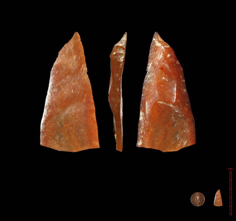 Neandertaller ile Beraber Yaşadığımız Süre 10.000 Yıla Çıktı