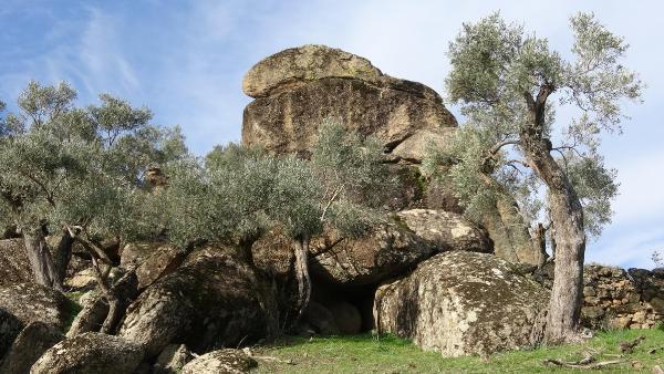 Aydın'da 7 Bin Yıllık Mağara Ve Kaya Resimleri Bulundu