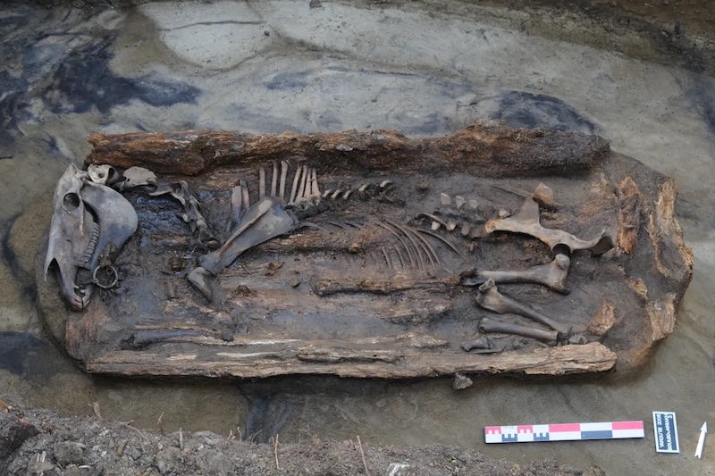 Sibirya’nın Son Kadın Şamanının Ebeveynleri Akrabaydı