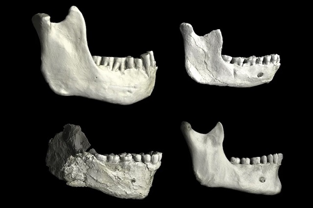 2026 Ocak Ayında Öne Çıkan 10 Arkeoloji Haberi