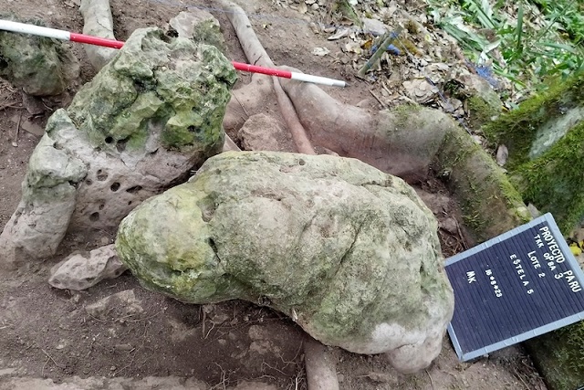Guatemala’da 3.000 Yıllık Bir Maya Kenti Ortaya Çıkarıldı