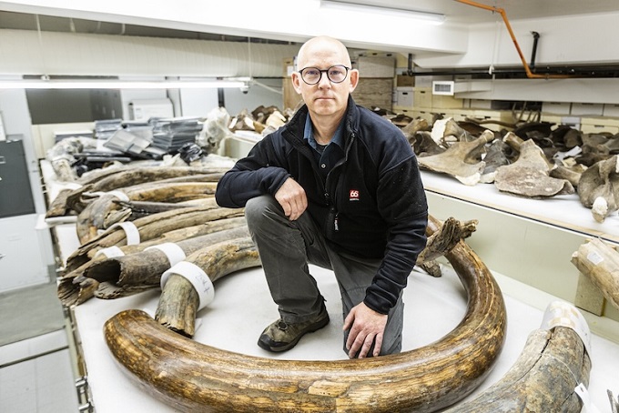 Alaska’daki İlk Av Kampları, Yünlü Mamut Göçleriyle İlişkiliydi