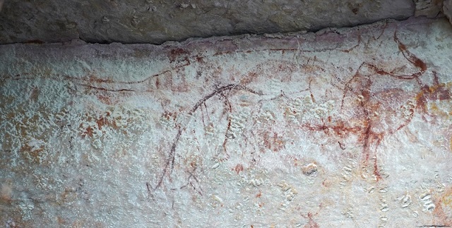 Avustralya’daki Kaya Sanatında Tazmanya Kaplanları Keşfedildi