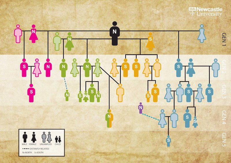 Antik DNA, Bilinen En Eski Aile Soy Ağacını Ortaya Koydu