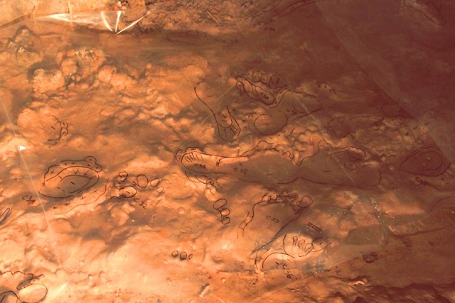 Bir Köpeğin İnsanlarla Yaşadığına Dair En Eski Doğrudan Kanıt!