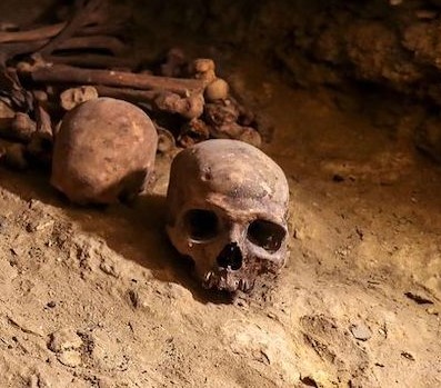 Hayır, İnsan Beyni 3.000 Yıl Önce Küçülmedi