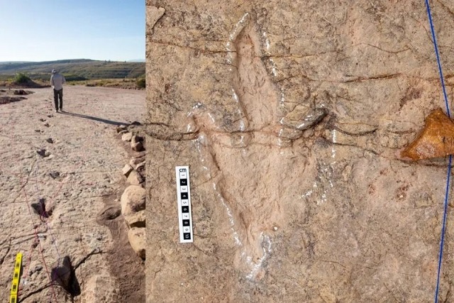 Bolivya’daki Eski Kıyı Şeridinde 18.000 Dinozor İzi Keşfedildi