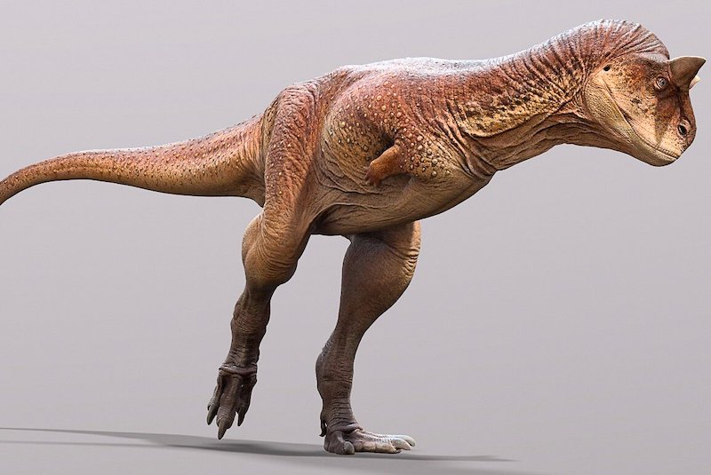 Boğa Benzeri Etçil Dinozora Ait Fosilleşmiş Deri Bulundu