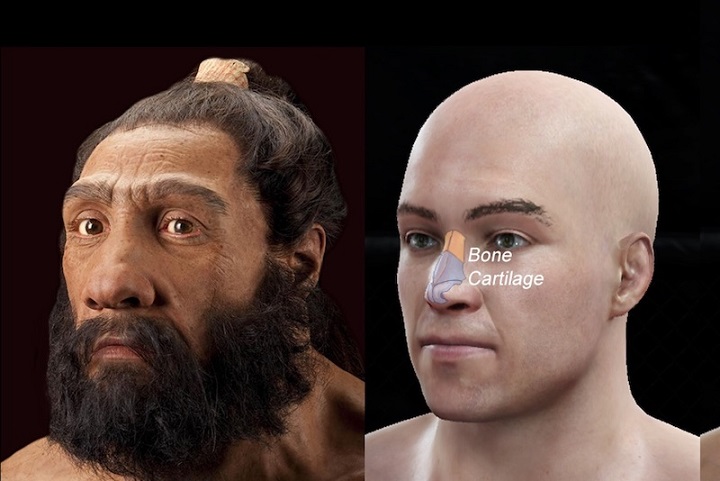 Uzun Burun Şekillerimiz Neandertallerden Miras Kalmış