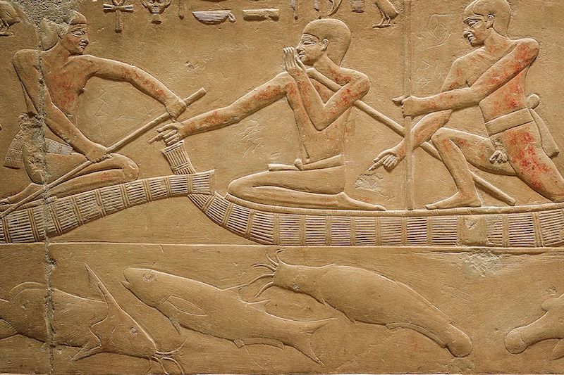 Mısır’ın İlk Firavunları Yayın Balıklarına Hayrandı