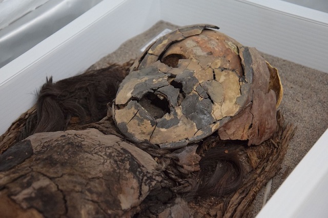 7.000 Yıllık Atacama Mumyaları ‘Terapi’ Olarak Yapılmış Olabilir