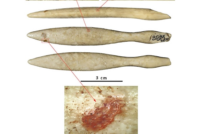 İber Yarımadası’nda 4.750 Yıllık Su Aygırı Dişi Nesne Bulundu