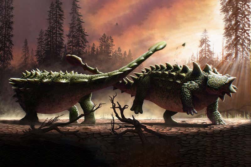 Nadir Fosil, Dinozorların Birbiriyle Savaştığını Gösteriyor