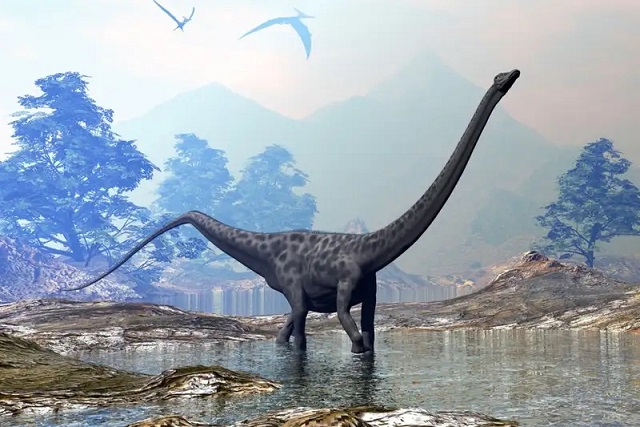 Uzun Boyunlu Dinozorların Çok Farklı Bir Yürüyüşü Vardı