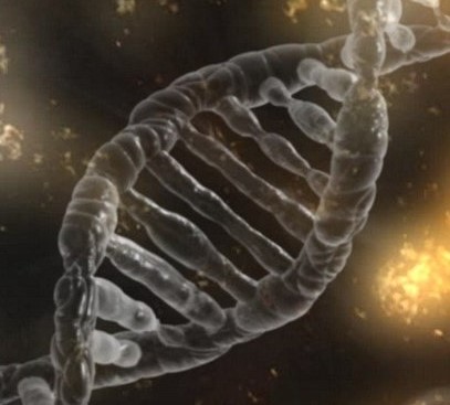 İlk Defa İnsan Genomunun Tamamı Boşluksuz Olarak Dizilendi