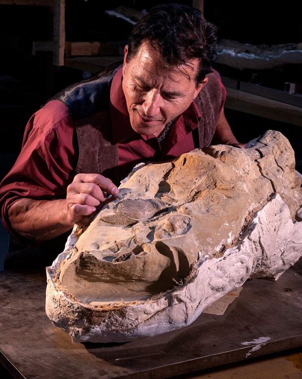 Dinozor ‘Mumyaları’, Gerçek Görünümlerini Ortaya Çıkarıyor